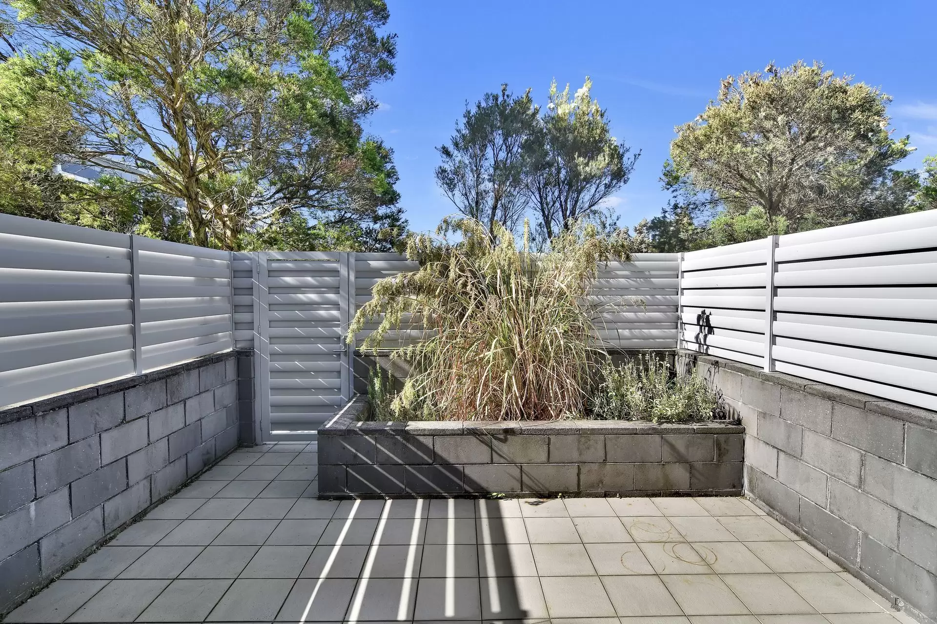 11/331 Miller St, Cammeray Leased by Aurora Property - image 7