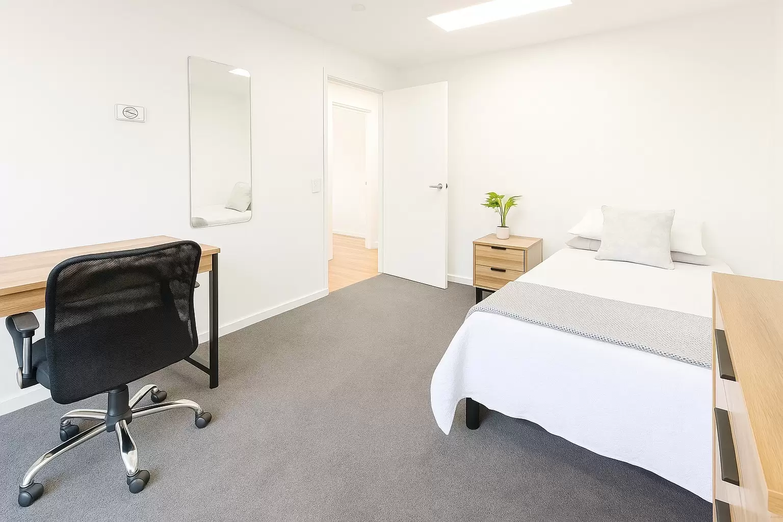 246 Glebe Point Road, Glebe For Lease by Aurora Property - image 5