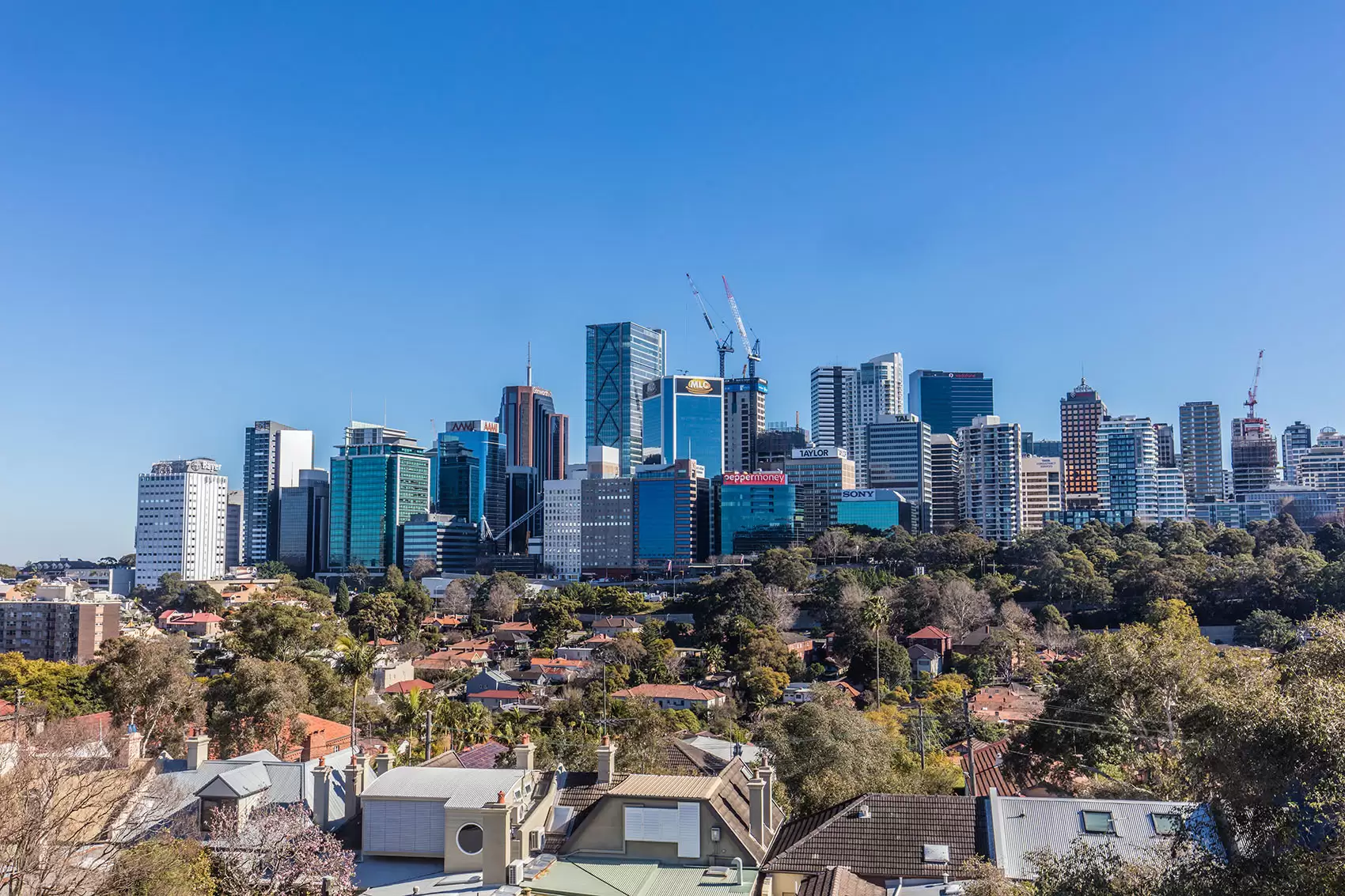 20/64 Ben Boyd Road, Neutral Bay For Lease by Aurora Property - image 1