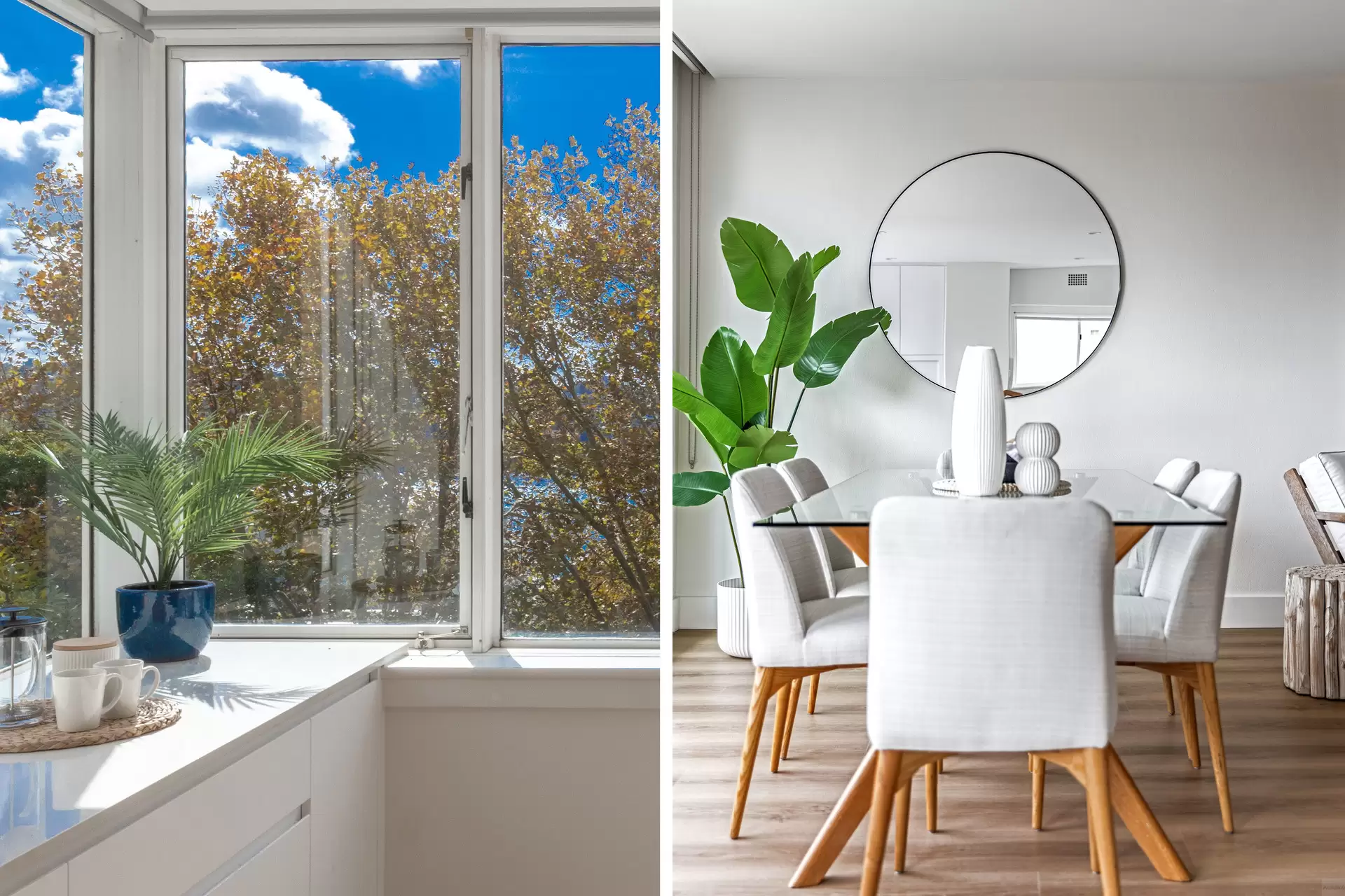 12/22 Peel Street, Kirribilli Auction by Aurora Property - image 13