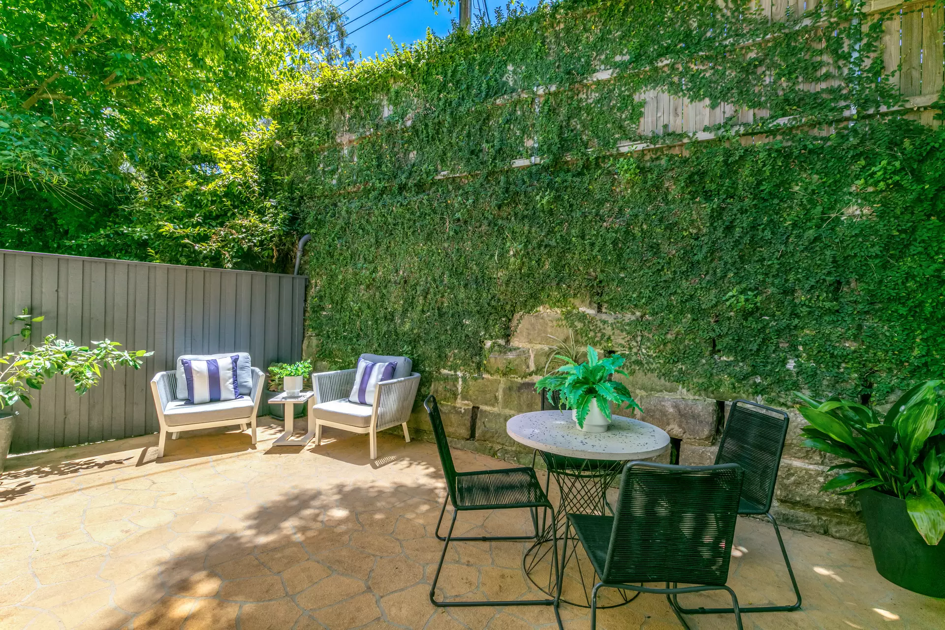 7/1B Armstrong Street, Willoughby For Lease by Aurora Property - image 2