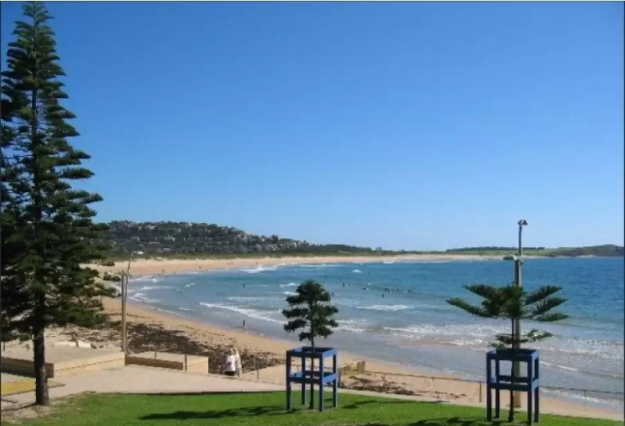 1/97 Pacific Parade, Dee Why For Lease by Aurora Property - image 2