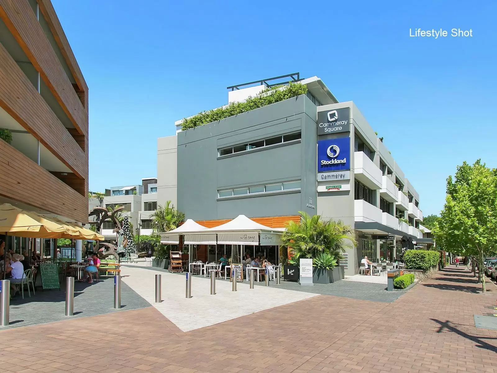 1/2 Abbott Street, Cammeray Sold by Aurora Property - image 2